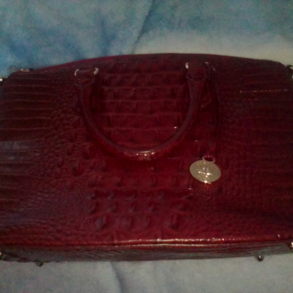 Brahmin bag and wallet